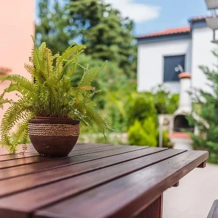 شقة Grosse In Mit Garten, Grill Und Terrasse كليمنو